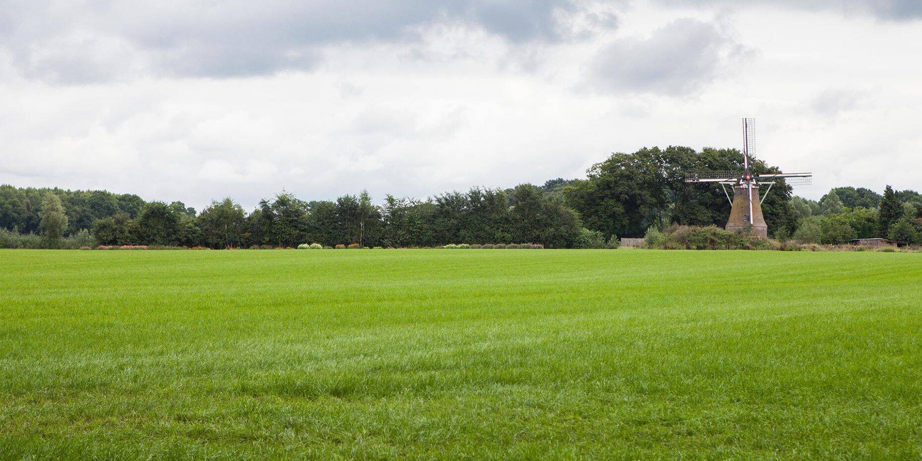 Header afbeelding