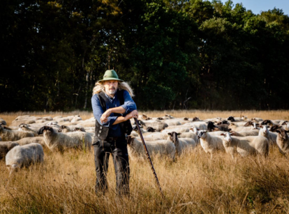 Belevenisboerderij Kotten: de traditioneel gescheperde schaapskudde Oost Achterhoek