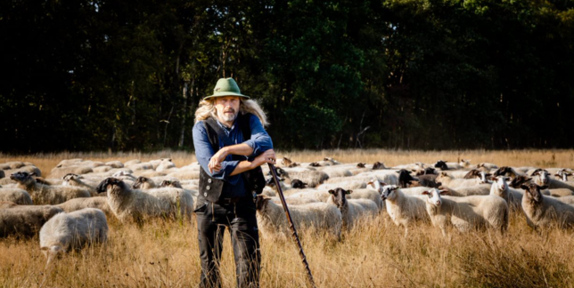 Belevenisboerderij Kotten: de traditioneel gescheperde schaapskudde Oost Achterhoek