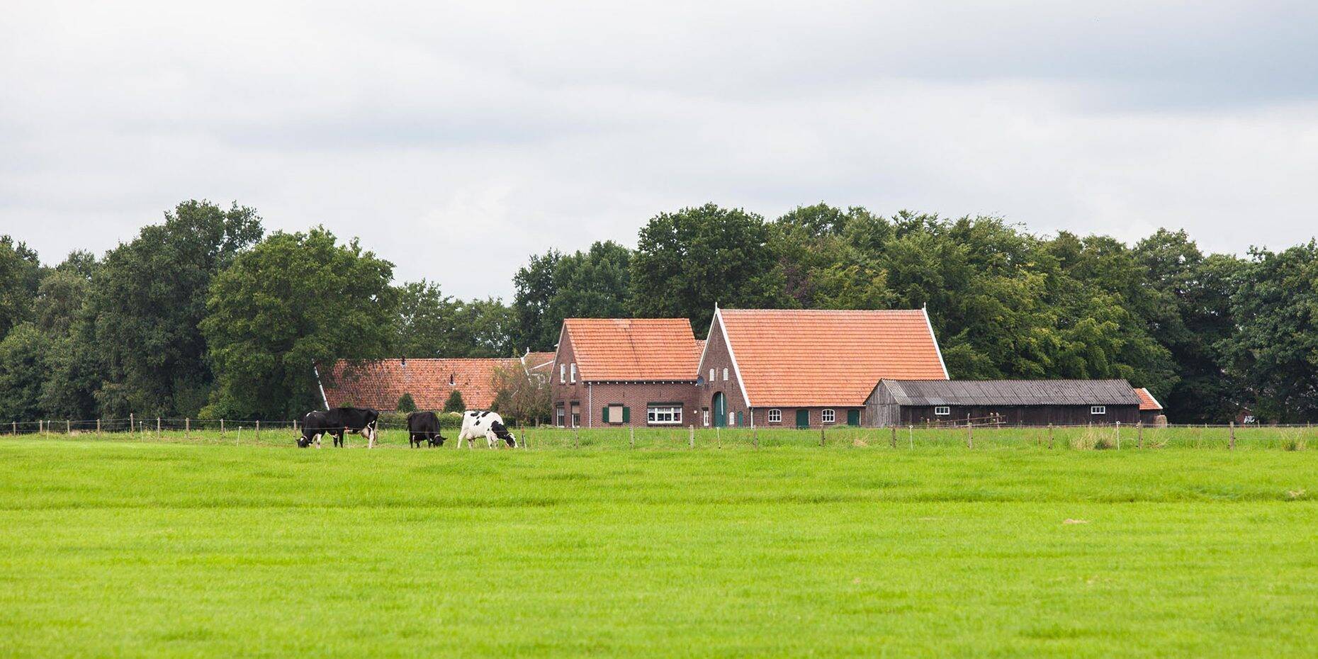 Header afbeelding