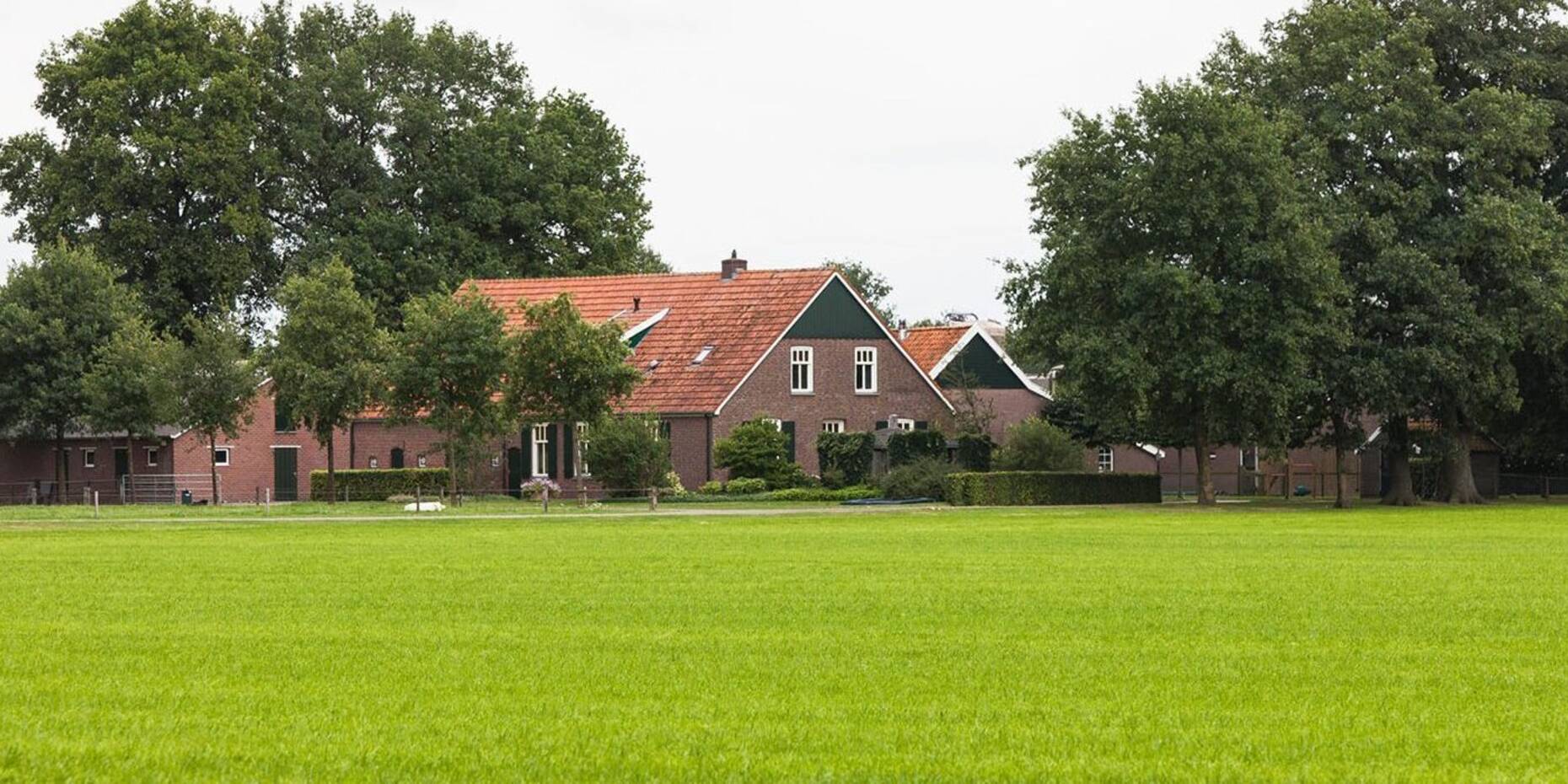 Header afbeelding