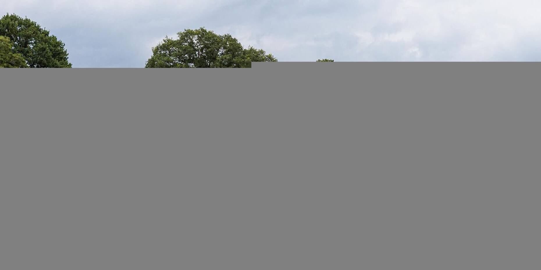 Header afbeelding
