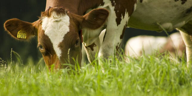 Landelijke nominaties voor Achterhoekse ondernemers