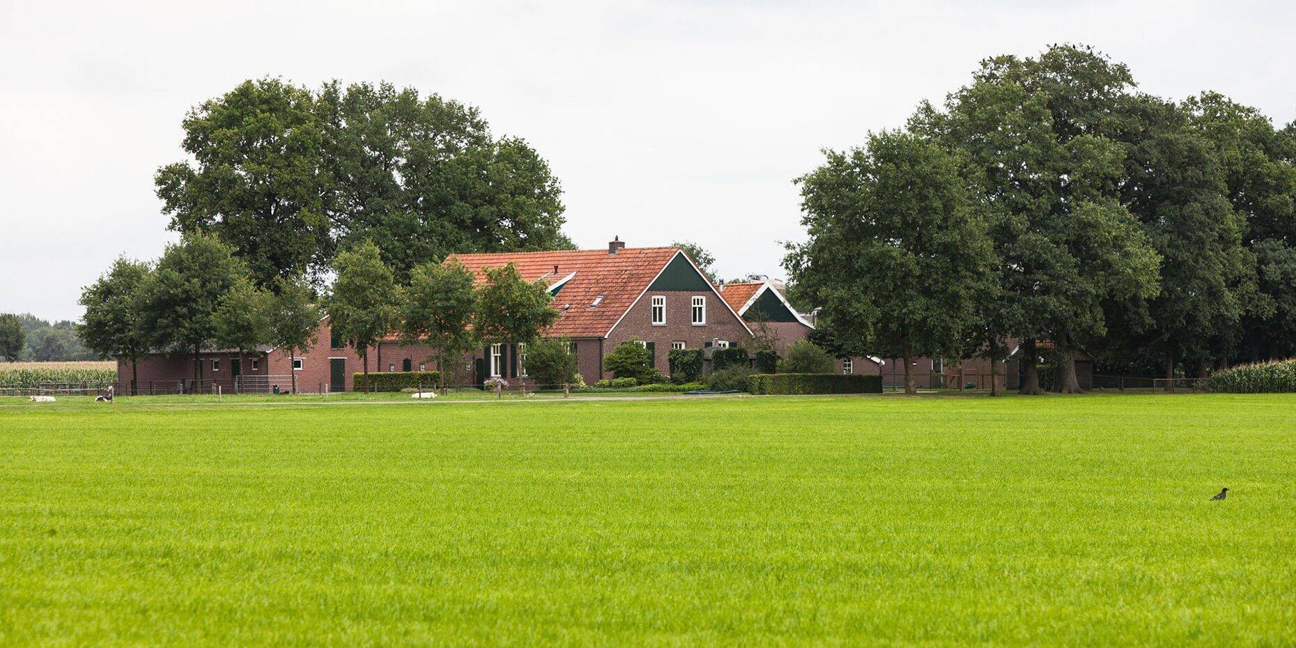 Header afbeelding