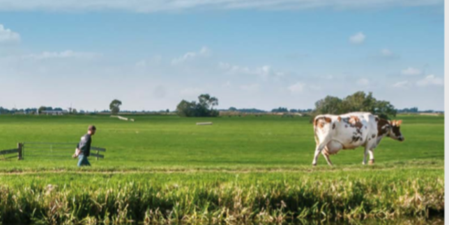 Boek overzicht LEADER-projecten 2016 - zomer 2020